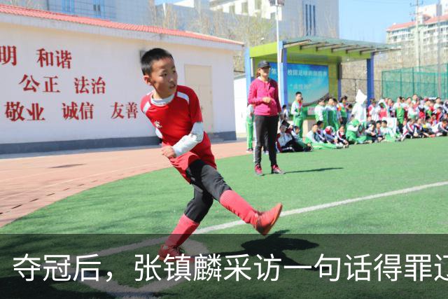 夺冠后，张镇麟采访一句话得罪辽宁，辽蜜：有本事到四川证明价值